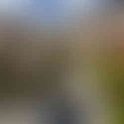 restaurace Cellier Belle Époque by Perrier-Jouët