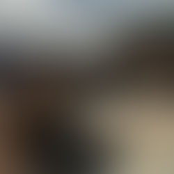 Katedrála v Remeši