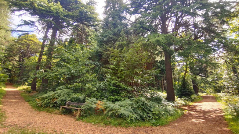 Walk on the Isle of Wight at Parkhurst Forest