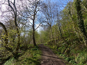 Walk the Conwy Valley from Parc Mawr