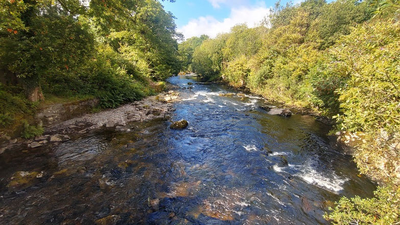 Walk from Coed y Parc