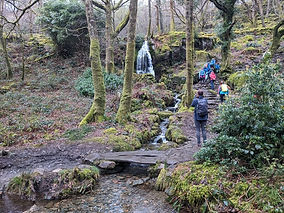 Walk from the National Trust's Craflwyn