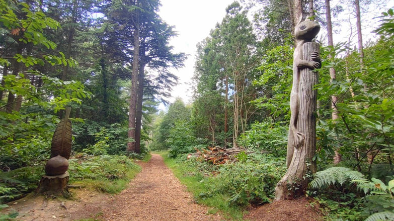 Walk on the Isle of Wight at Parkhurst Forest