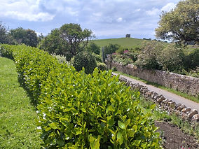 Walk the Ridgeway and Coast from Abbotsbury
