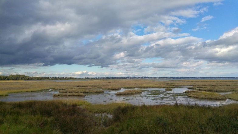 Arne Nature Reserve
