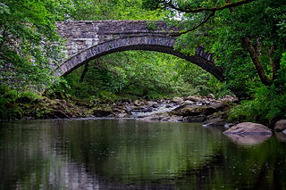 Walk at Coed y Brenin Forest Park