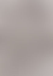 A lovely morning's work from Wednesday's group...