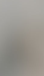 Wednesday's group getting stuck in after all our time away!