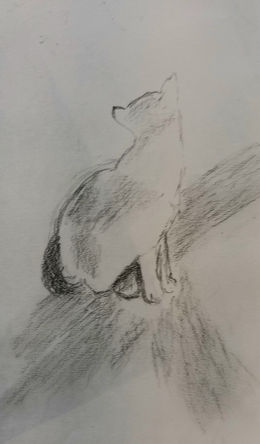 Wednesday's group getting stuck in after all our time away!