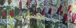 A day of colour matching and playing with images from magazines.