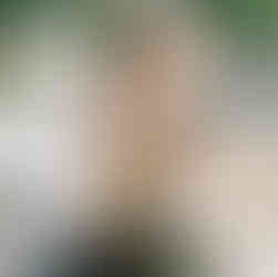 Lake Como wedding at Villa Regina Teodolinda with outdoor ceremony, Italian villa garden, and panora