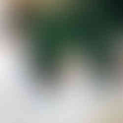 Lake Como wedding at Villa Regina Teodolinda with outdoor ceremony, Italian villa garden, and panora