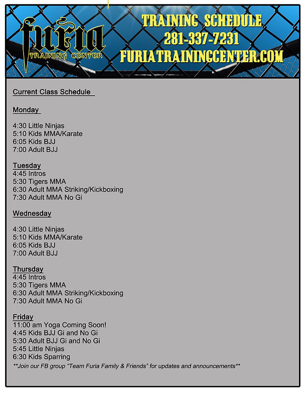 MMA and BJJ Schedule in Dickinson and League City