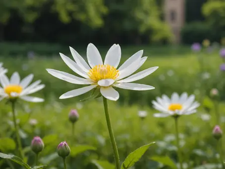 The Untapped Power of Fear: How to Harness the Unknown for Personal Growth