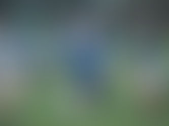 1st Year Boys Rugby Vs St. Columba's