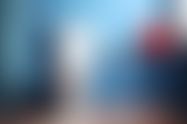 Post-Holiday Toilet Check