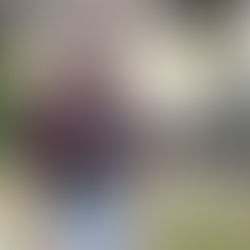 Installing a New Main Water Line