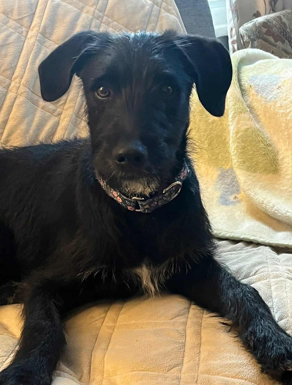 att.9pQ7Idx3A9pxAEo6cxL-MjQ74wVwRKEun9DwA7JQ3yY