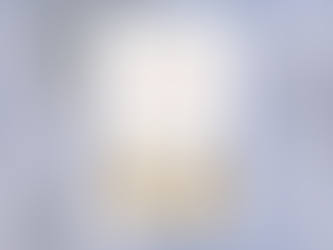 Virdžīnija Evansa. Vēstuļniece