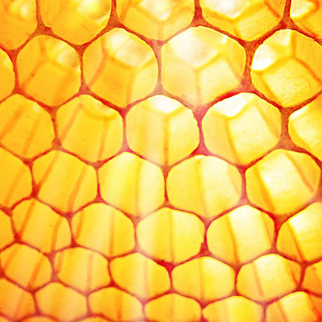 138740186_148412640417508_6941890559911090390_o.jpg