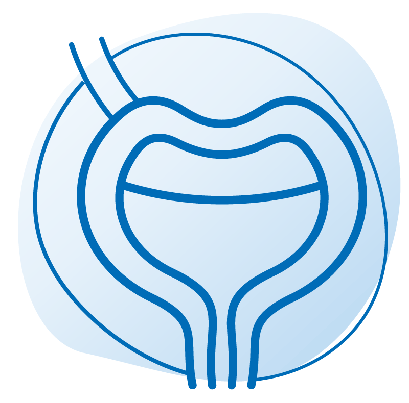 uroginecologia.gif