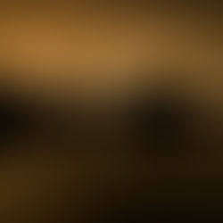 Here Comes the Flood