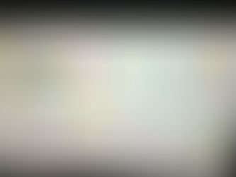 【活動記録】Laurris Characterの歩み — 2019年から現在、そして未来へ