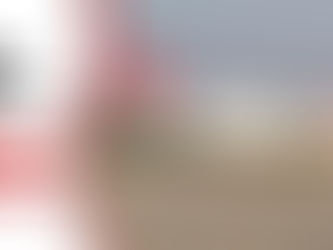 ¿Cual es el número de teléfono de TAR Aerolineas?