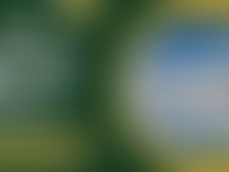 What Are American Airlines Last Minute Deals?