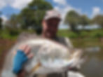 I. Middleton & Tinaroo Barramundi