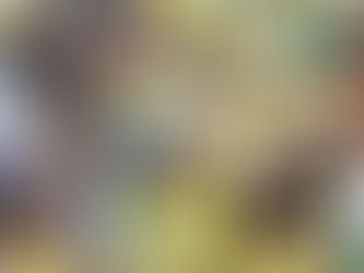 South African Parliament Convenes Amidst Uncertain Political Landscape