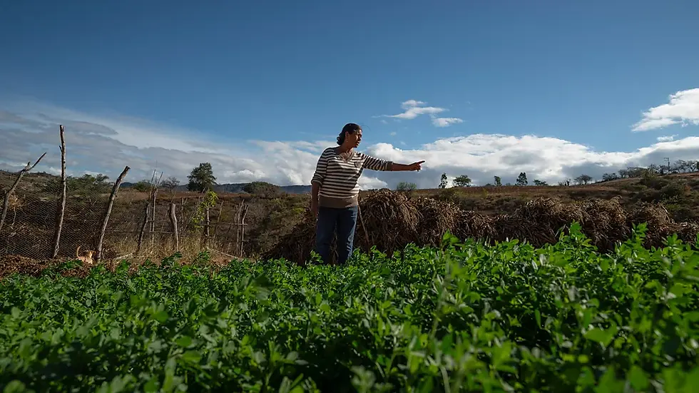 Sustainable Water Management Practices in Arid Regions