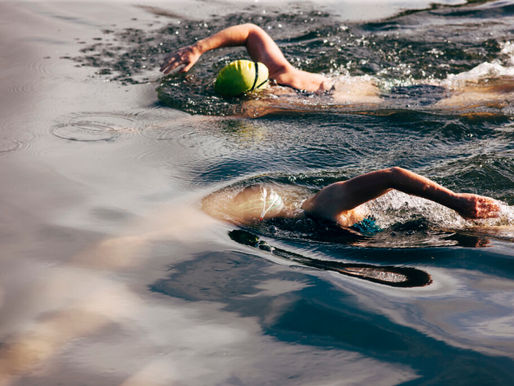 Cleaning Up the UK's Waterways, Tackling Sewage Pollution with Innovative Wetlands
