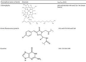 fluoro_chem.png