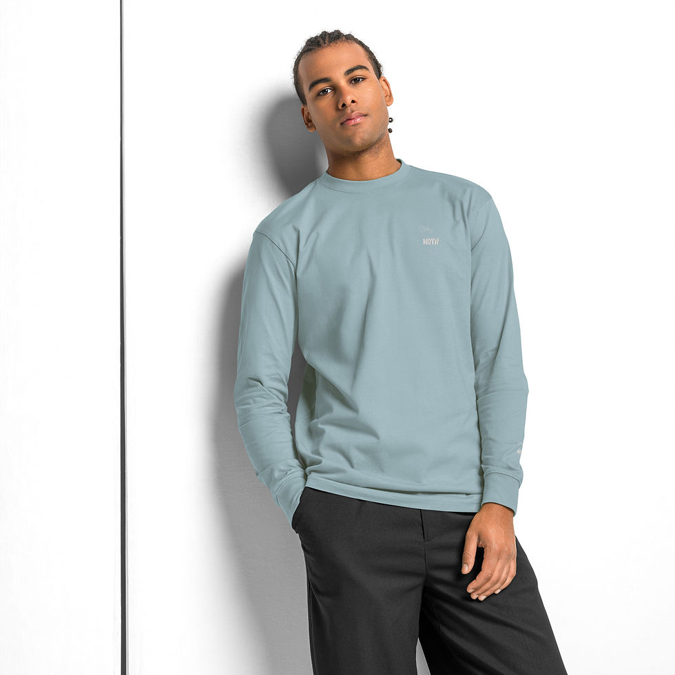 Miniature : Premium T-Shirt Homme longues manches heavyweight 