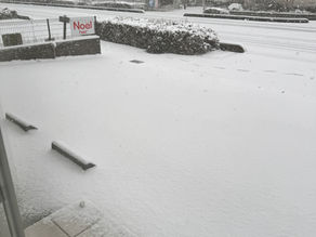 久しぶりの雪景色、すぐ溶ける安心感