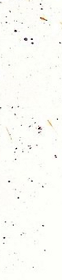 Document1 - Word (Échec de l’activation