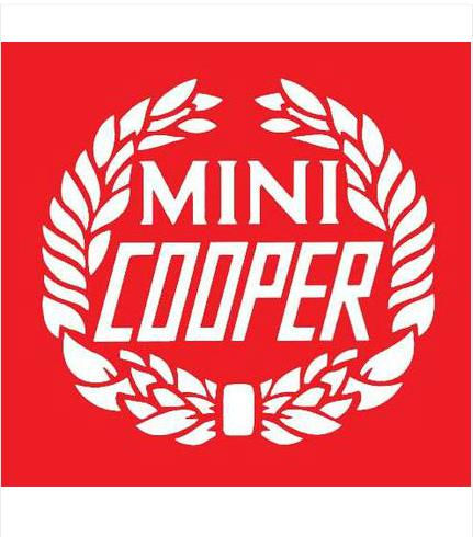 Miniatura: ADESIVO TETTO MINI COOPER