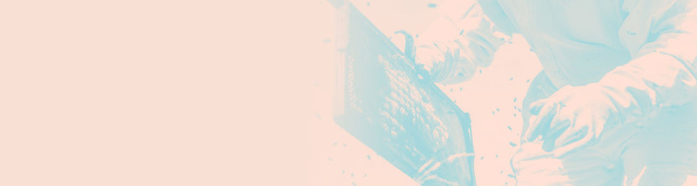 Donation banner image_edited_edited_edited.jpg