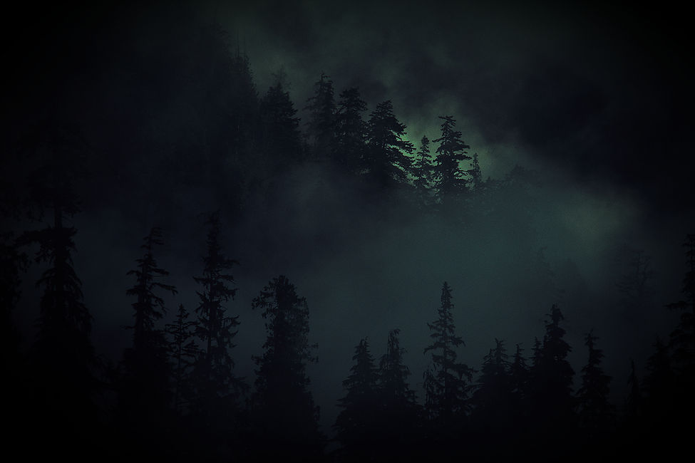 Forest Scene_edited.jpg