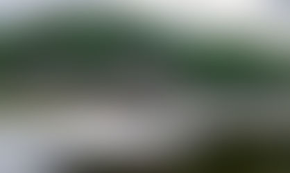 Я никогда не перестану напоминать вам об истине