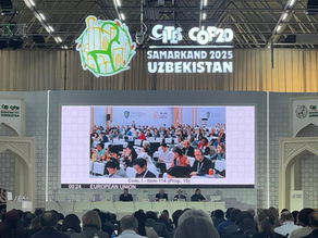 Landmark policy on African birds comes into effect