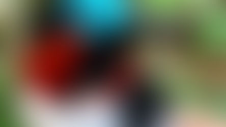 A bird’s eye view of Togo’s last national park