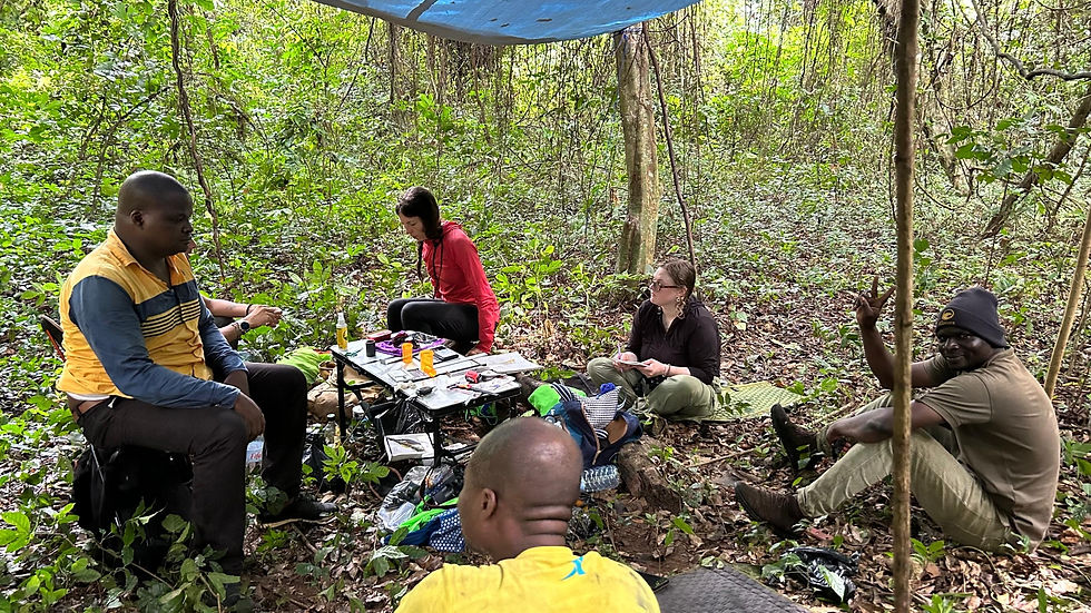 Mist nets, fetish markets, and motorbikes: A field season in Benin