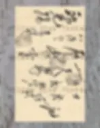Thumbnail: Digital Download Antique Japanese pages