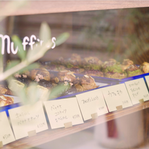 Screen Shot 2023-01-31 at 17.12.23.png