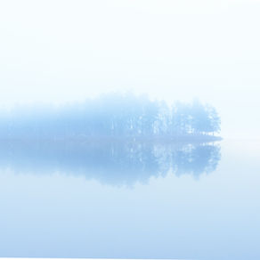 Hello February