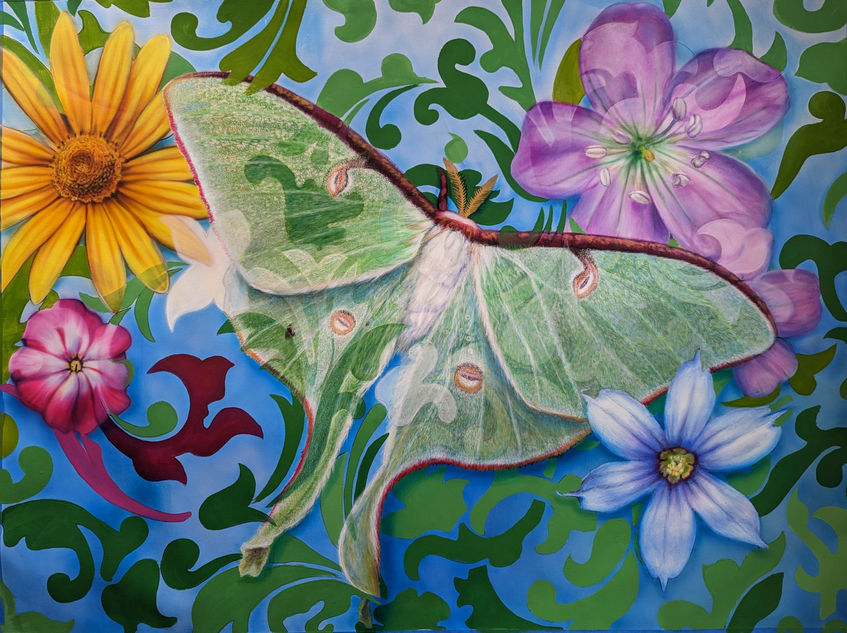 hand painted moth murals public fine art