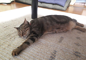 20190420_230446.jpg