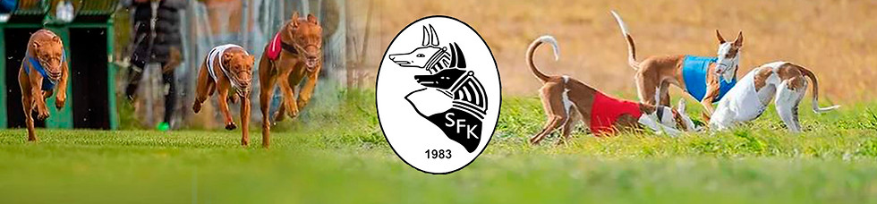 sfk 2 otsikkopalkki.jpg